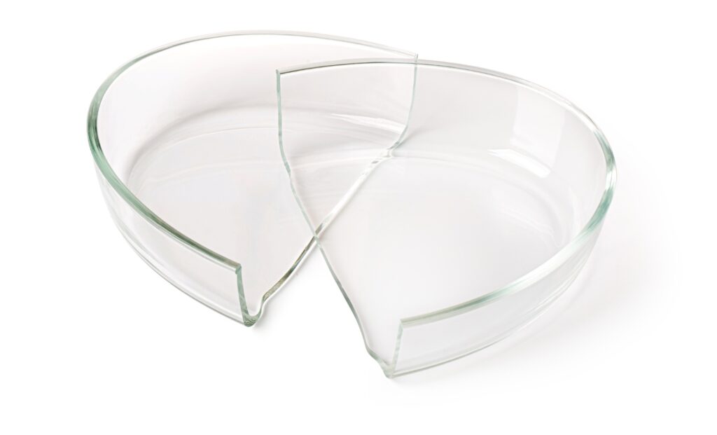 破損した理化学用ガラス器具(シャーレ)の修理・再生サービスのイメージ